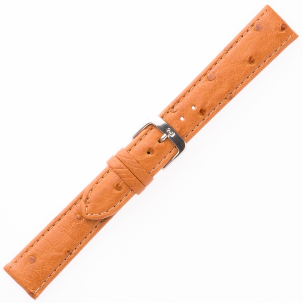 Echt Strauß Damen rotbraun 20